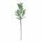 2 Frosted Green 24-Inch Artificial Flocked Lambs Ear LEAVES SPRAYS STEMS
